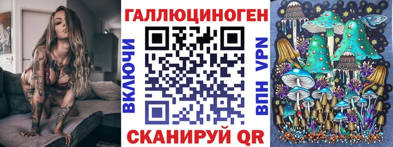 где найти наркотики  Зеленогорск  Галлюциногенные грибы мицелий 